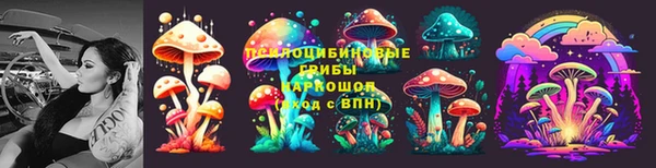 гашик Балабаново