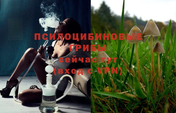 гашик Балабаново