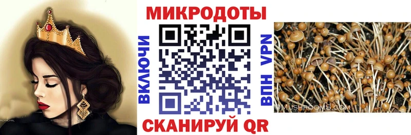 Галлюциногенные грибы мицелий  Новое Девяткино 
