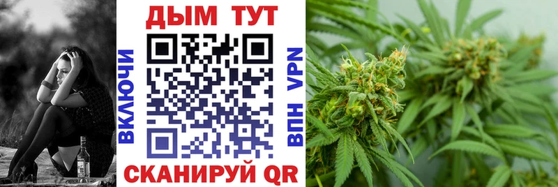 Конопля индика  продажа наркотиков  маркетплейс официальный сайт  Новое Девяткино 
